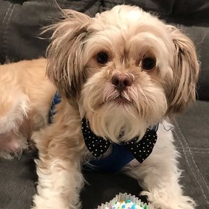 Meet your Posher, Nathaly